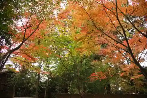 観泉寺の自然