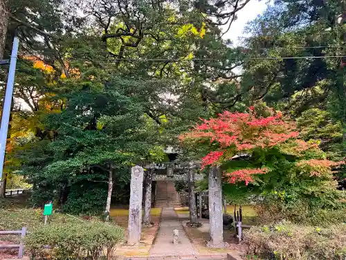 雷神社の自然