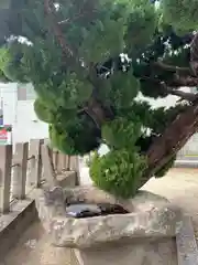 廣田神社(兵庫県)