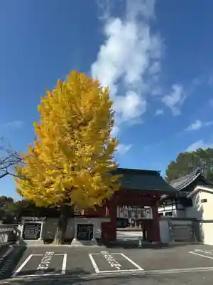 伊賀八幡宮(愛知県)