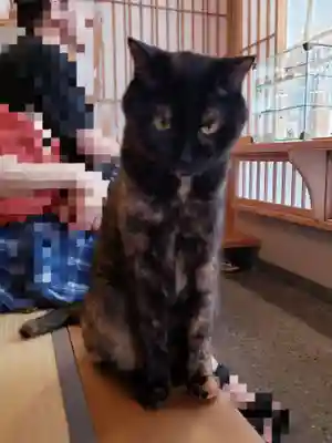 五十稲荷神社(栄寿稲荷神社)(東京都)