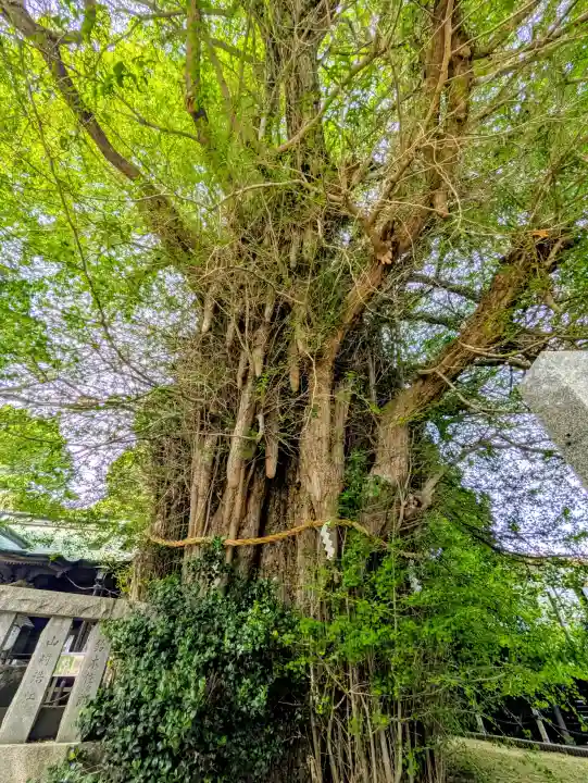 鶴嶺八幡宮の{uncategorized: "未分類", other: "その他", undefined: "問題あり", building: "その他建物", grave: "お墓", sacred_gate: "鳥居", guardian: "狛犬", statue: "像", buddha: "仏像", history: "歴史", nature: "自然", garden: "庭園", animal: "動物", pagoda: "塔", temizu: "手水舎", mountain_gate: "山門・神門", sanctuary: "本殿・本堂", subordinate: "末社・摂社", art: "芸術", scenery: "景色", jizo: "地蔵", ema: "絵馬", goshuin: "御朱印", omikuji: "おみくじ", items: "授与品その他", amulet: "お守り", goshuincho: "御朱印帳", eats: "食事", festival: "お祭り", votive_dance: "神楽", shichigosan: "七五三参", wedding: "結婚式", experience: "体験その他", initially: "初詣", around: "周辺", anti_infection: "感染症対策"}