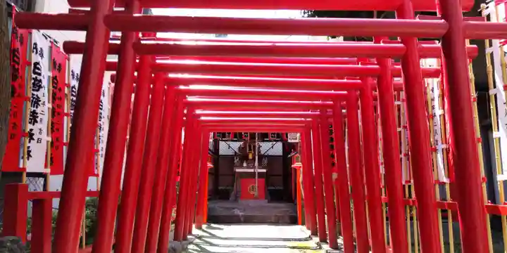 白笹稲荷神社の鳥居