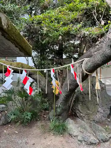 進雄神社の自然
