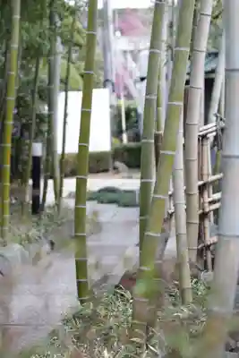 密藏院(埼玉県)