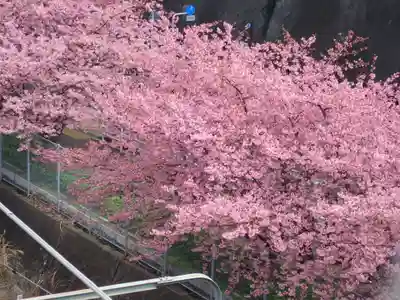海南神社(神奈川県)