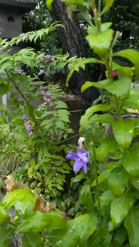 全興寺(大阪府)