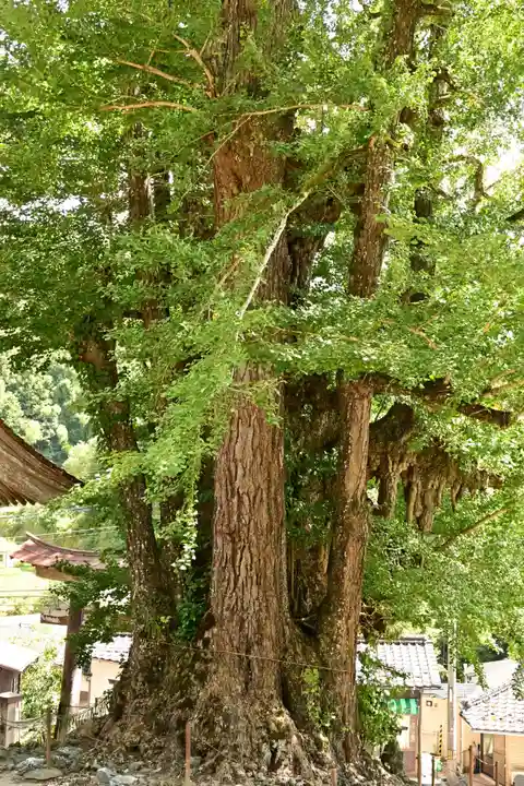 三島神社(愛媛県)