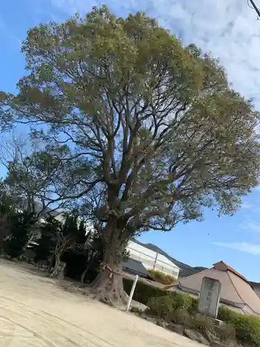 江泊神社の建物その他