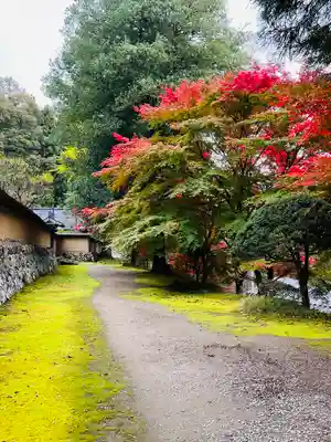 黒石寺(岩手県)