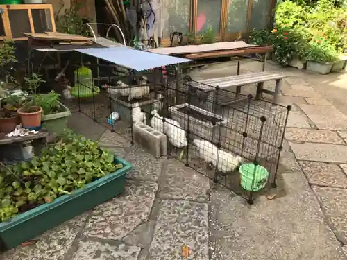 榮久山大法寺の動物