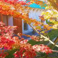 寿量山 速成寺の自然