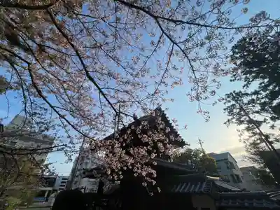 伊勢の国 四天王寺(三重県)