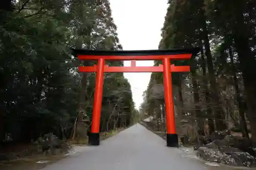 霧島神宮(鹿児島県)