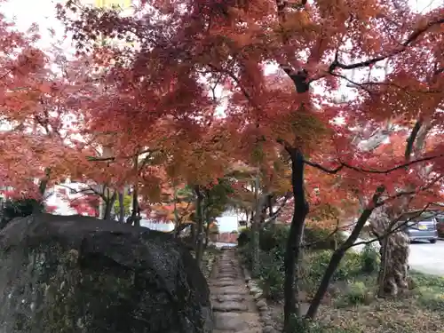 愛宕神社の自然