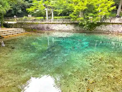 嚴島神社(山口県)