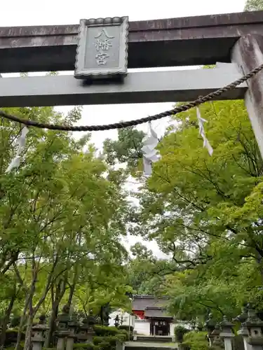 壺井八幡宮(大阪府)