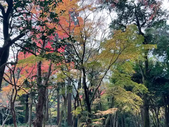 百済寺(滋賀県)
