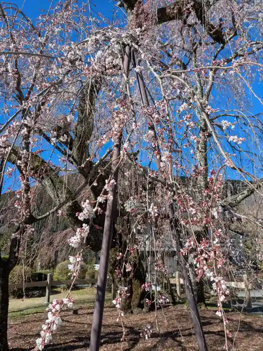 久遠寺(山梨県)