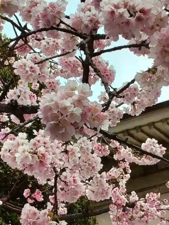 靖國神社(東京都)