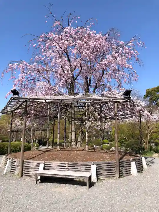 東寺(教王護国寺)の庭園