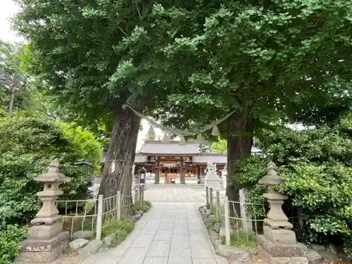 亀ケ池八幡宮(神奈川県)