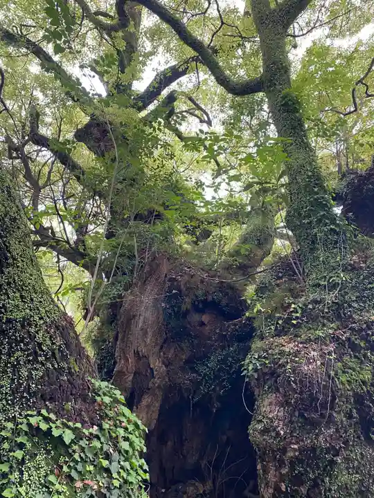 富知六所浅間神社(静岡県)