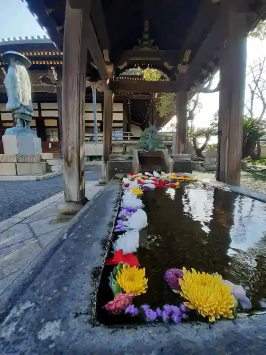 本願寺堺別院の{uncategorized: "未分類", other: "その他", undefined: "問題あり", building: "その他建物", grave: "お墓", sacred_gate: "鳥居", guardian: "狛犬", statue: "像", buddha: "仏像", history: "歴史", nature: "自然", garden: "庭園", animal: "動物", pagoda: "塔", temizu: "手水舎", mountain_gate: "山門・神門", sanctuary: "本殿・本堂", subordinate: "末社・摂社", art: "芸術", scenery: "景色", jizo: "地蔵", ema: "絵馬", goshuin: "御朱印", omikuji: "おみくじ", items: "授与品その他", amulet: "お守り", goshuincho: "御朱印帳", eats: "食事", festival: "お祭り", votive_dance: "神楽", shichigosan: "七五三参", wedding: "結婚式", experience: "体験その他", initially: "初詣", around: "周辺", anti_infection: "感染症対策"}