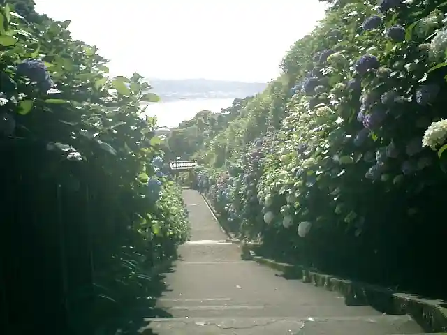 成就院のその他建物