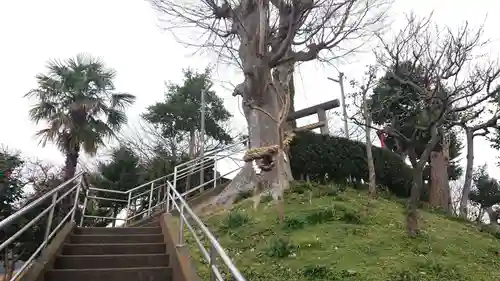 護所神社の自然