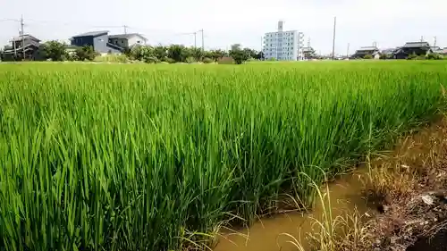 八龍社（稲島）の周辺