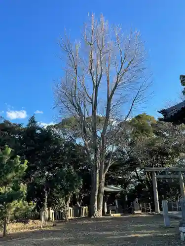 福浦金刀比羅宮の自然