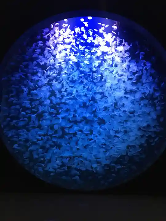 荘内神社(山形県)