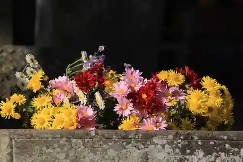 熊野福藏神社の手水