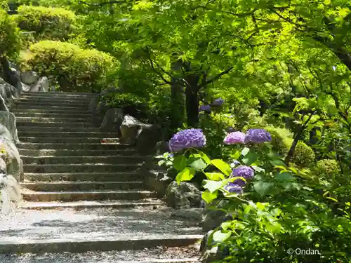 東福禅寺（東福寺）(京都府)