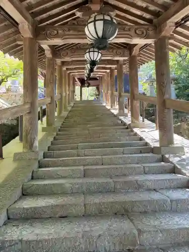 長谷寺(奈良県)