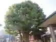 嶺白山神社(東京都)