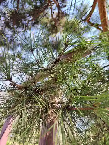 厚別神社(北海道)