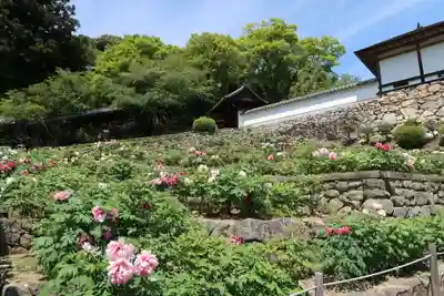 長谷寺(奈良県)