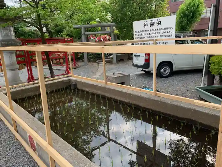 鎮守氷川神社のお祭り