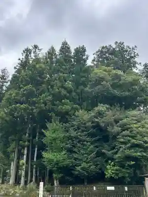 天河大辨財天社(奈良県)