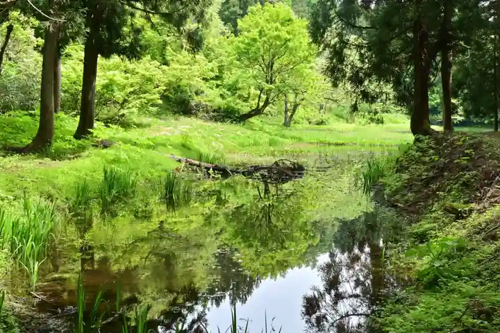 郡殿の池弁財天社(新潟県)