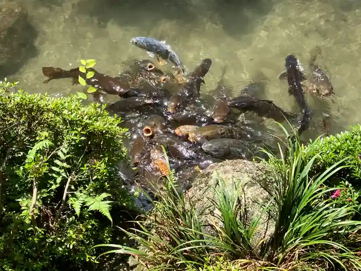 滋賀院門跡(滋賀県)