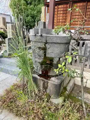 感應寺(東京都)