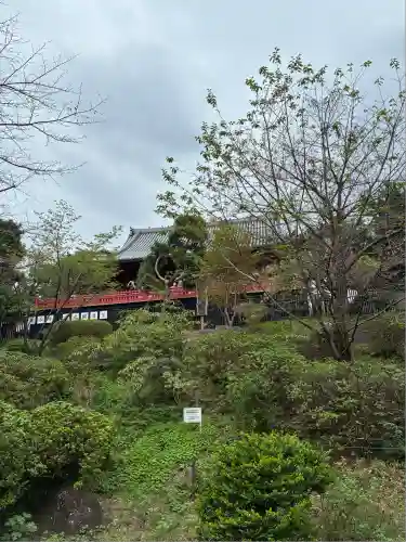 清水観音堂(東京都)