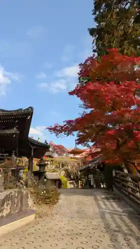 善峯寺(京都府)