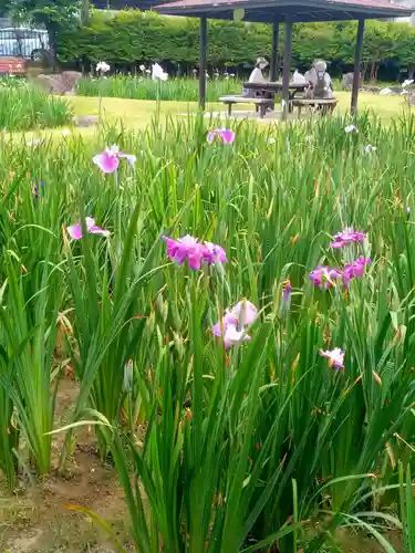 知立神社の自然