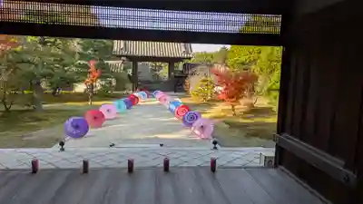 隨心院(随心院)(京都府)