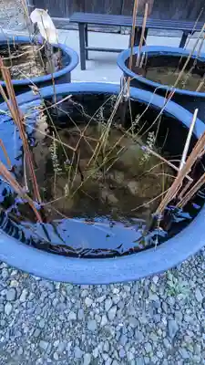 行願寺（革堂）(京都府)