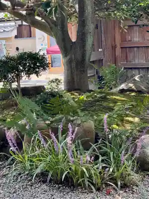 新德禅寺 (新徳寺)(京都府)